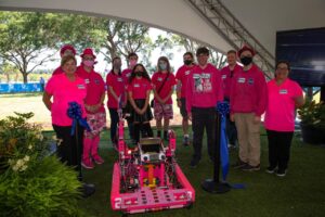 Pink Ribbons and Pink Profits: What Really Drives Breast Cancer Campaign Support