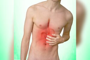 Stomach’s Calcium-Controlled Contractions Regulate Gastric Emptying