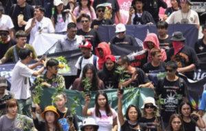 Thailand Reverses Cannabis Policy, Halting Commercial Sales and Growth