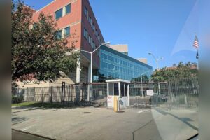 The FDA and AI Regulation: Ensuring Safety in Medical Algorithms