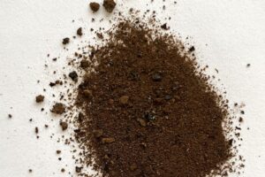 Fulvic Acid and Cancer: What the 14-Hour Melanoma Study Actually Found