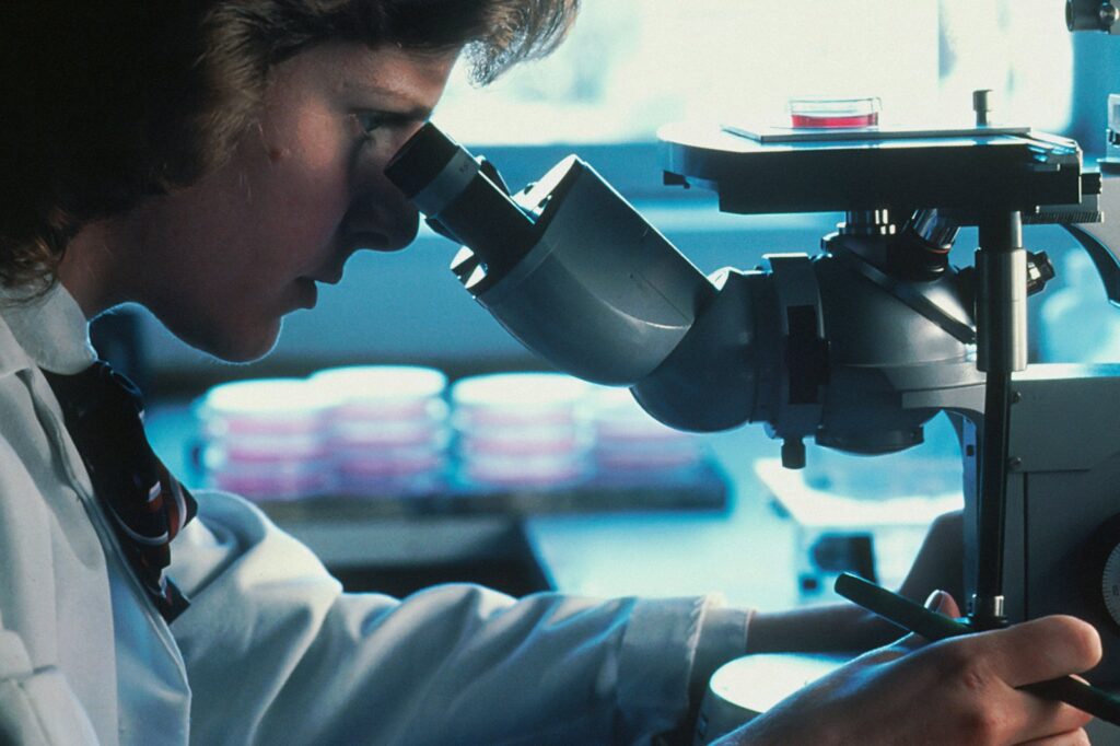 Understanding How Novel Drug Targets Aim to Slow Alzheimer’s