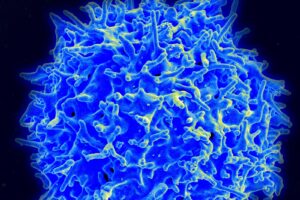 How USC Scientists Are Solving the Supply Bottleneck in CAR-T Cancer Therapy
