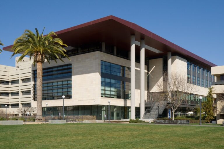 Stanford Digital Twins Identify Drug Combo To Stop Premature Birth