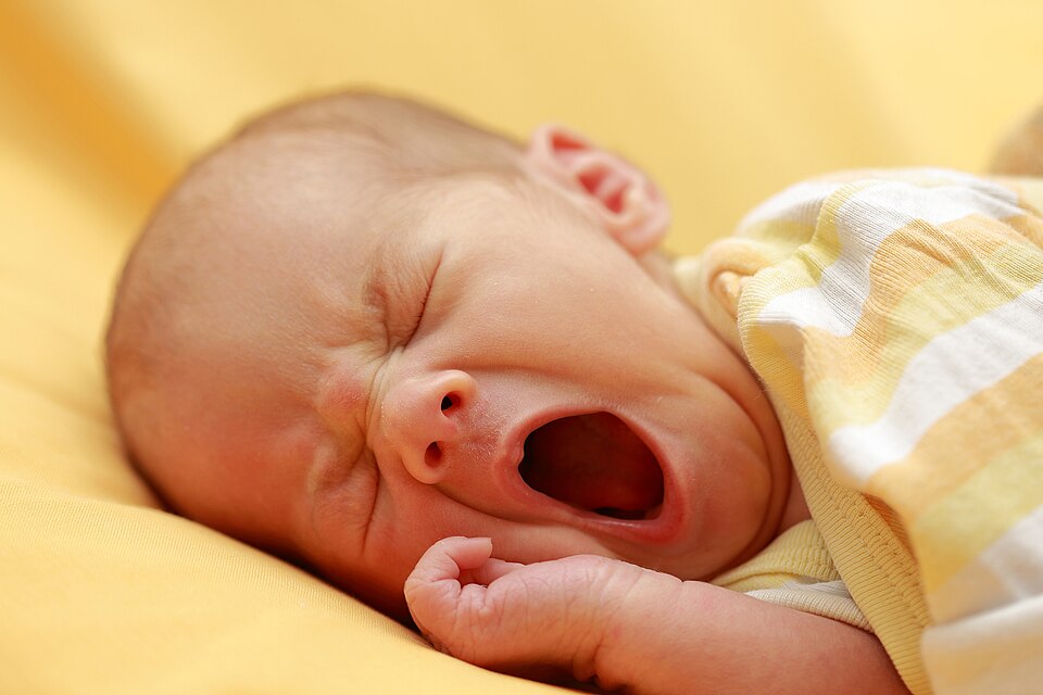 Infant