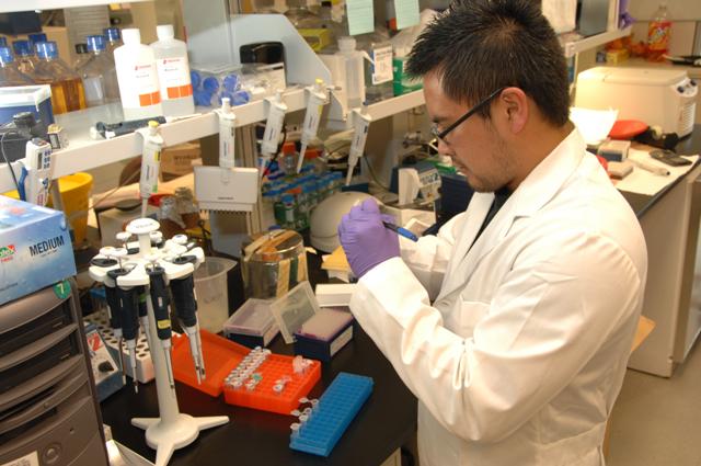 Medical Research Laboratory Scientist