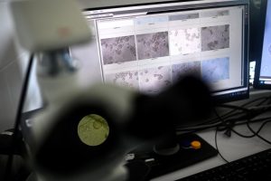 Molecular Blueprint Advances Cancer Treatment Development