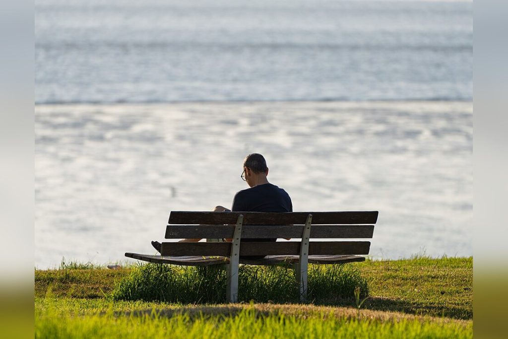Person Sitting In A Park