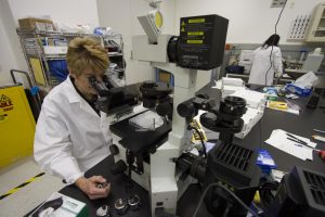 Vaping Chemicals Inflame Arterial Cells, Heart Researchers Report